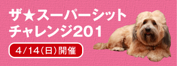 ザ★スーパーシットチャレンジ201