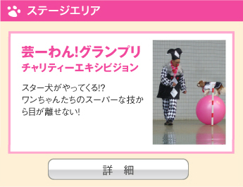 芸ーわん！グランプリ チャリティーエキシビジョン 
