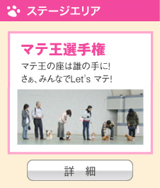 マテ王選手権