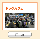 ドッグカフェ 