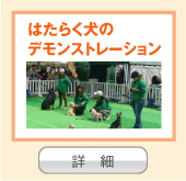 はたらく犬の デモンストレーション