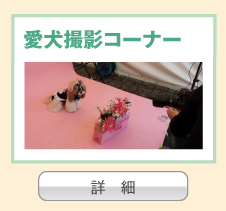 愛犬撮影コーナー