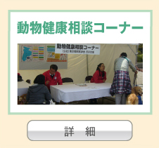 動物健康相談コーナー 